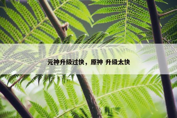元神升级过快，原神 升级太快