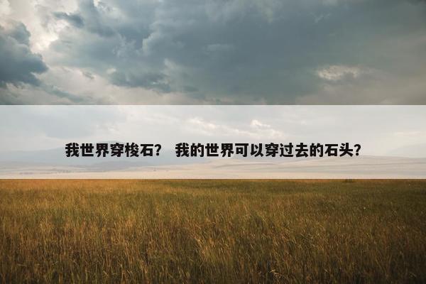 我世界穿梭石？ 我的世界可以穿过去的石头？