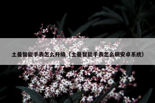 土曼智能手表怎么升级（土曼智能手表怎么刷安卓系统）
