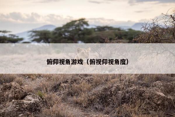 俯仰视角游戏（俯视仰视角度）