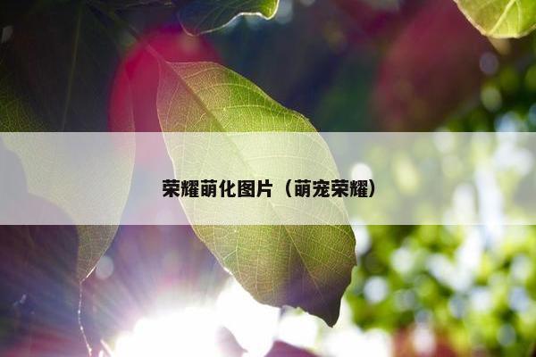 荣耀萌化图片（萌宠荣耀）