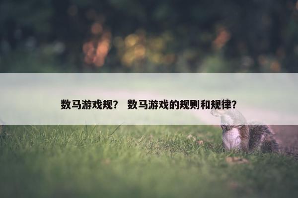 数马游戏规？ 数马游戏的规则和规律？