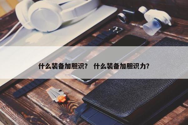 什么装备加胆识？ 什么装备加胆识力？