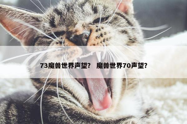 73魔兽世界声望？ 魔兽世界70声望？