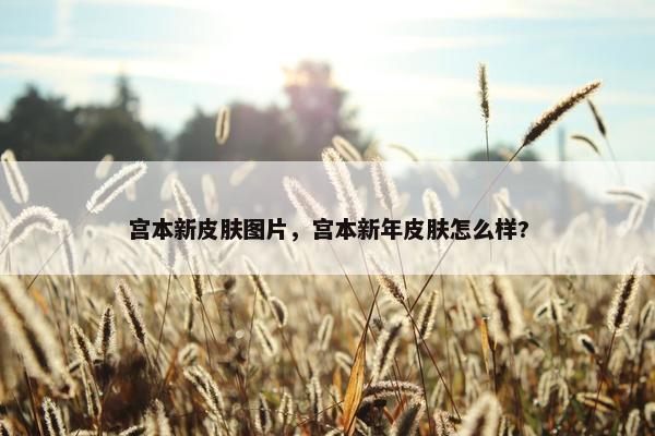 宫本新皮肤图片，宫本新年皮肤怎么样?