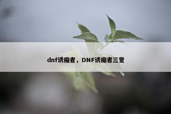 dnf诱魔者，DNF诱魔者三觉