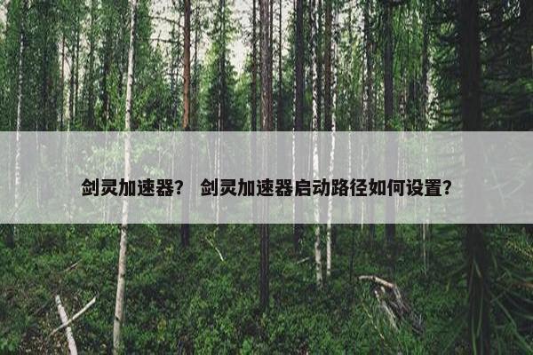 剑灵加速器？ 剑灵加速器启动路径如何设置？